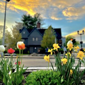 Witch House in Bloom